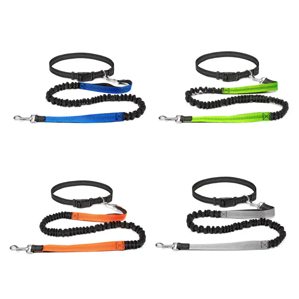Canicross | Ceinture Laisse Pour Chien Dog Spirit