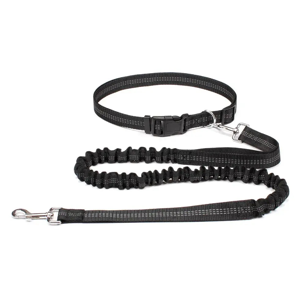 Canicross | Ceinture Laisse Pour Chien Dog Spirit