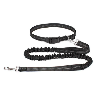Canicross | Ceinture Laisse Pour Chien Dog Spirit