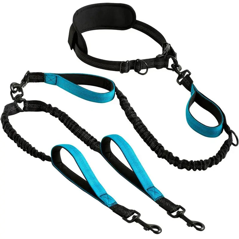 Canicross | Laisse Double pour Chien Avec Ceinture Premium Dog Spirit
