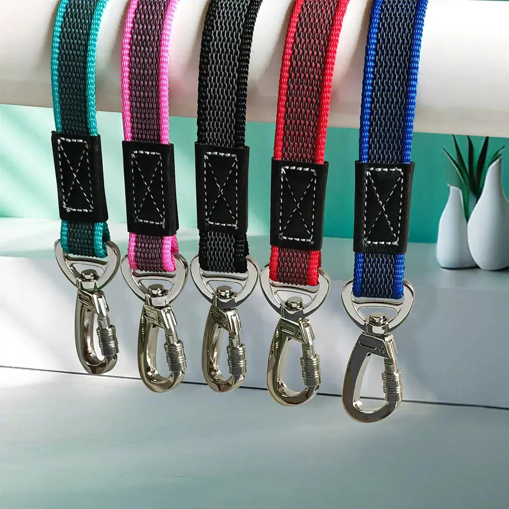 Promenade | Longue Laisse pour gros chiens Dog Spirit