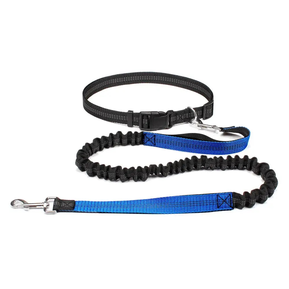 Canicross | Ceinture Laisse Pour Chien Dog Spirit