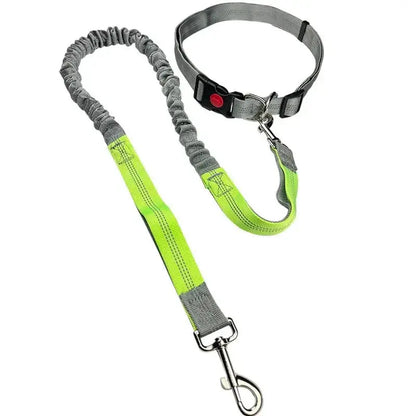 Canicross | Laisse Ceinture  pour chien élastique Dog Spirit