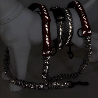 Canicross | Laisse Mains Libres abdominale Dog Spirit