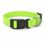 Collier - Vert