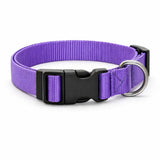 Collier - violet