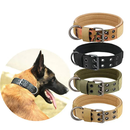 TrailForce Tactical – Collier Tactique en Nylon pour Chien | Ajustable & Ultra Résistant Dog Spirit