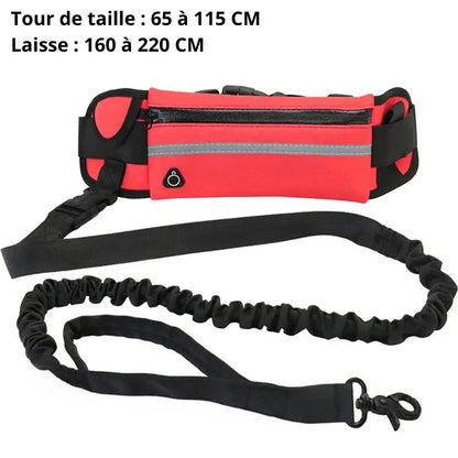 Canicross | Laisse Traction pour chien avec Sac Banane Dog Spirit