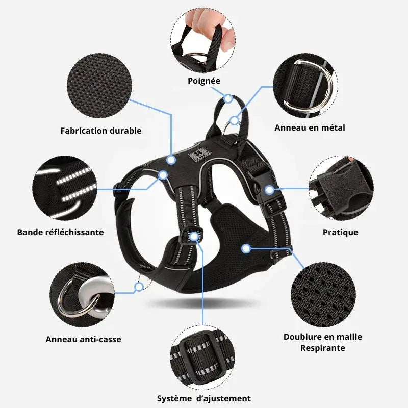 Canicross | Harnais pour chien Tout-en-un Marche / Course Dog Spirit