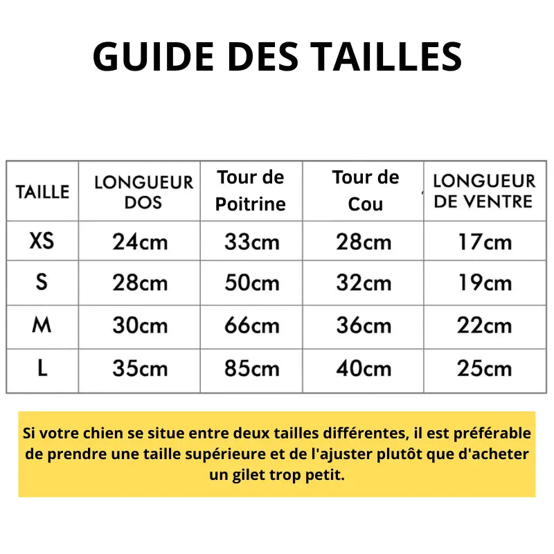 Accessoire | Gilet de Refroidissement pour chien Dog Spirit