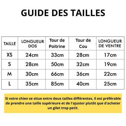 Accessoire | Gilet de Refroidissement pour chien Dog Spirit