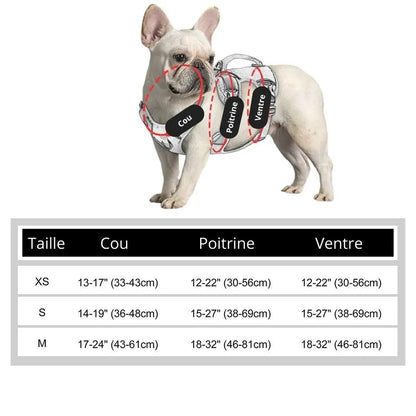 Canicross | Harnais pour petits et moyens chiens Dog Spirit