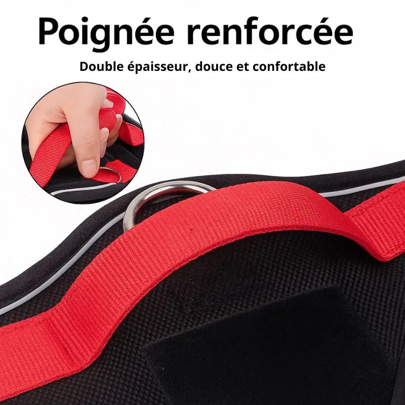 Canicross | Harnais réfléchissant pour chien de taille petit à grand Dog Spirit