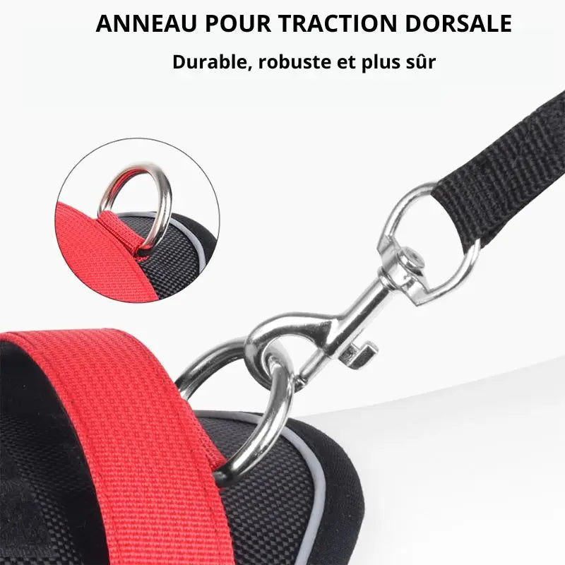 Canicross | Harnais réfléchissant pour chien de taille petit à grand Dog Spirit