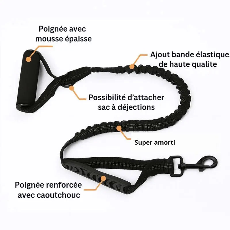 Promenade | Laisse longue et réfléchissante pour chien Dog Spirit