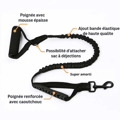 Promenade | Laisse longue et réfléchissante pour chien Dog Spirit