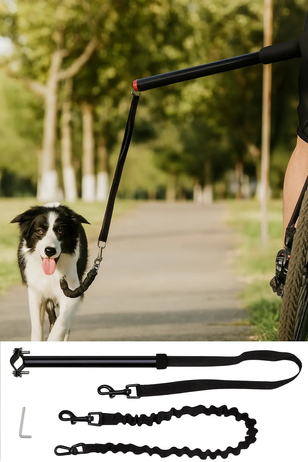 Canicross | Laisse Chien pour Vélo Dog Spirit