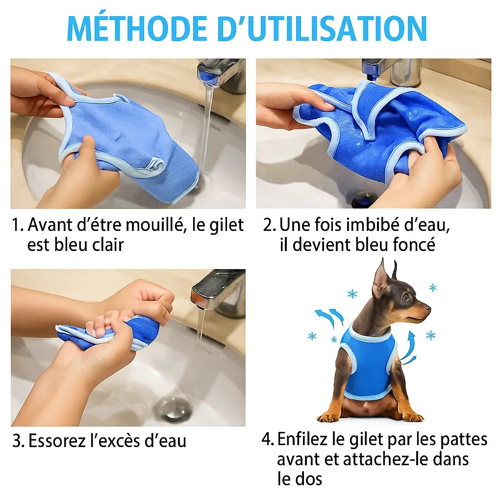 Accessoire | Gilet de Refroidissement pour chien Dog Spirit