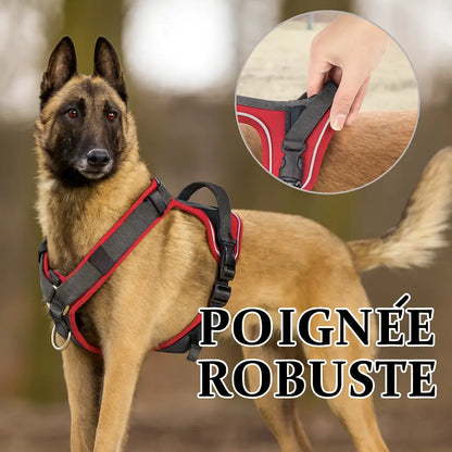 Canicross | Harnais pour chien réfléchissant, réglable et respirant Premium Dog Spirit
