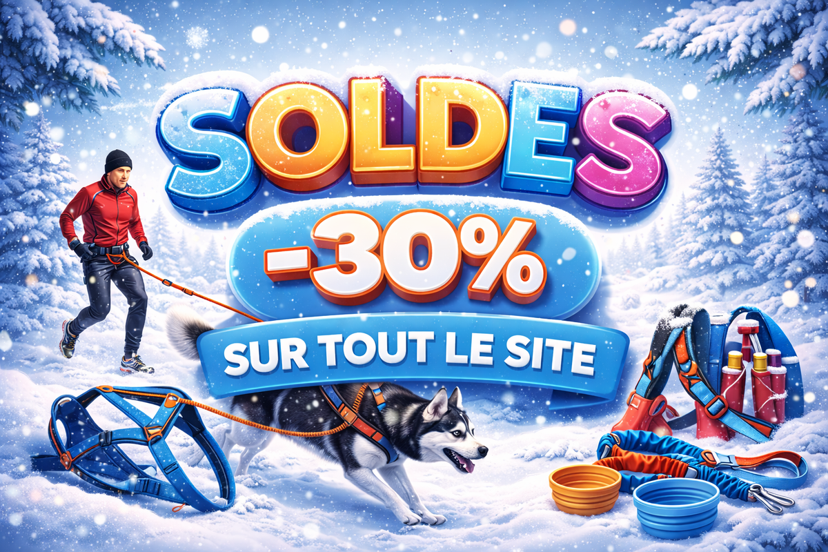 Dog Spirit | N°1 du Canicross et des sports canins