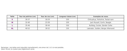 Canicross | Harnais et Laisse pour Chien sans Traction Dog Spirit